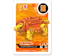 Numberanimal | 8 Cephal