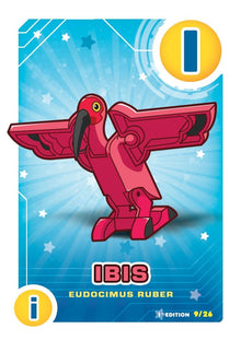 Letrazoo I Ibis