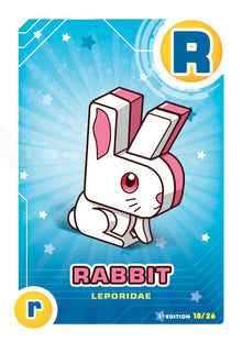 Letrazoo R Rabbit