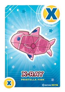 Letrazoo X Xray