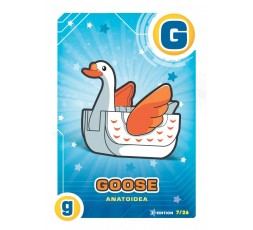 Letrazoo | G Goose